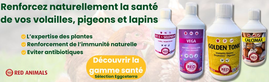 présentation des compléments alimentaires red animals